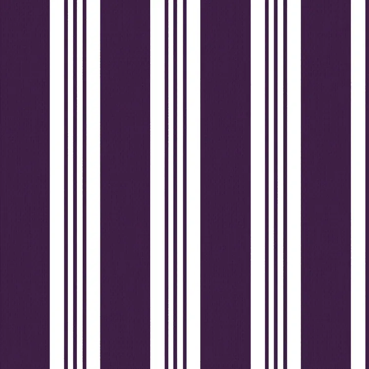 Striped Pattern Tarp